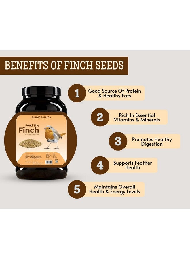 طعام الطيور للعصافير والحمام وجميع الطيور البرية - 1 كجم | مزيج بذور طبيعي وصحي ممتاز، بروسو أصفر، لؤلؤي، نيجر، ذيل الثعلب، ذيل الثعلب الذهبي، بني اللون - Image 2