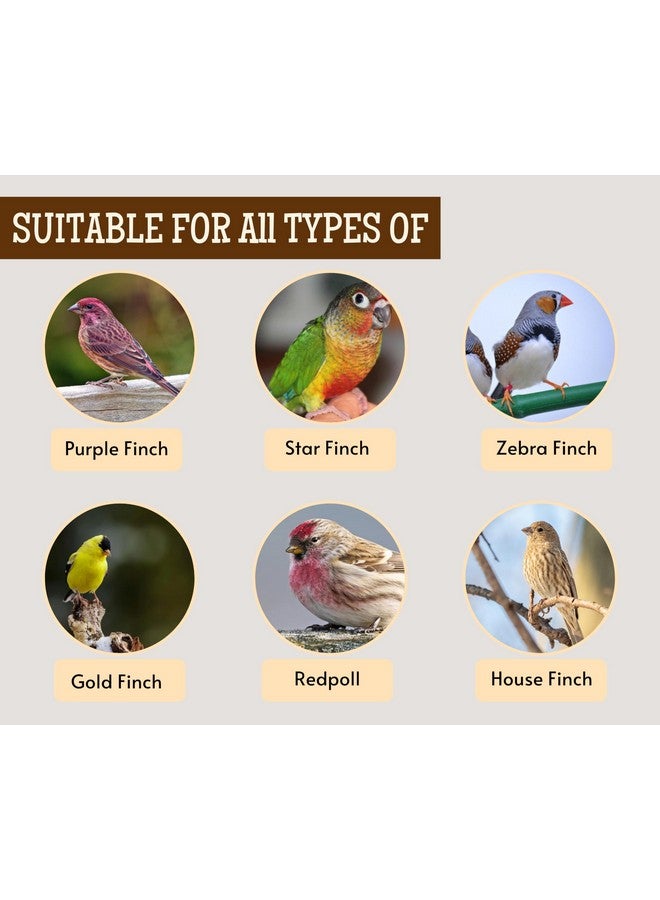 طعام الطيور للعصافير والحمام وجميع الطيور البرية - 1 كجم | مزيج بذور طبيعي وصحي ممتاز، بروسو أصفر، لؤلؤي، نيجر، ذيل الثعلب، ذيل الثعلب الذهبي، بني اللون - Image 5