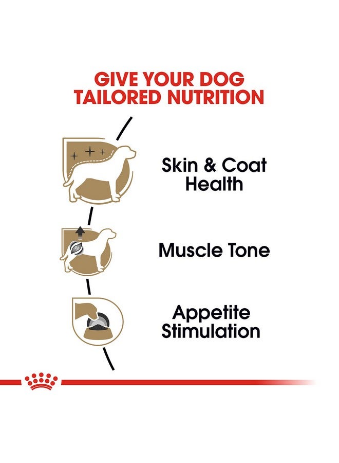 Royal Canin Poodle Adult Breed Specific Wet Dog Food, 3 oz can (24-count) - Image 2