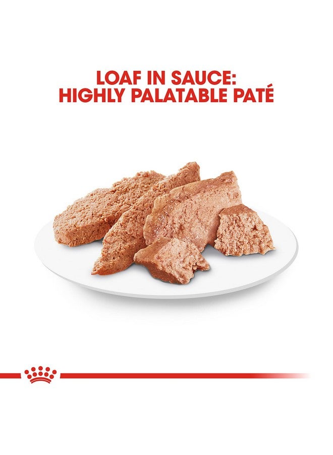 Royal Canin Poodle Adult Breed Specific Wet Dog Food, 3 oz can (24-count) - Image 1