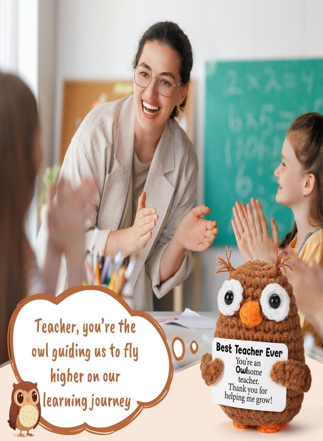 Hweijm Thank You Teacher Appreciation Gifts for Teacher Coworker Mentor, Crochet Owl Birthday Graduation Retirement Leaving Going Away Gift for Teachers Week Gifts, Funny Crochet Owl - Image 4