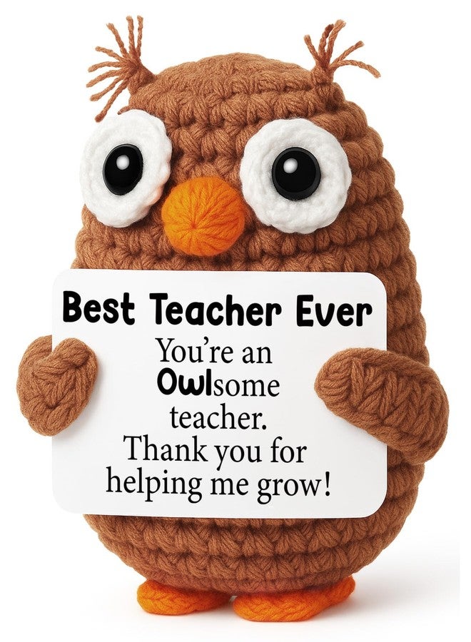 Hweijm Thank You Teacher Appreciation Gifts for Teacher Coworker Mentor, Crochet Owl Birthday Graduation Retirement Leaving Going Away Gift for Teachers Week Gifts, Funny Crochet Owl - Image 1