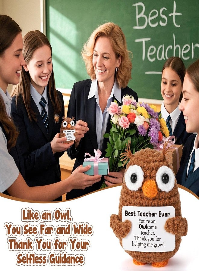 Hweijm Thank You Teacher Appreciation Gifts for Teacher Coworker Mentor, Crochet Owl Birthday Graduation Retirement Leaving Going Away Gift for Teachers Week Gifts, Funny Crochet Owl - Image 5