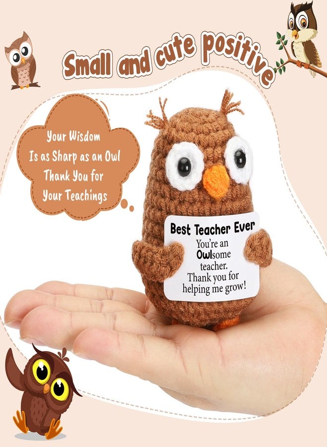 Hweijm Thank You Teacher Appreciation Gifts for Teacher Coworker Mentor, Crochet Owl Birthday Graduation Retirement Leaving Going Away Gift for Teachers Week Gifts, Funny Crochet Owl - Image 2