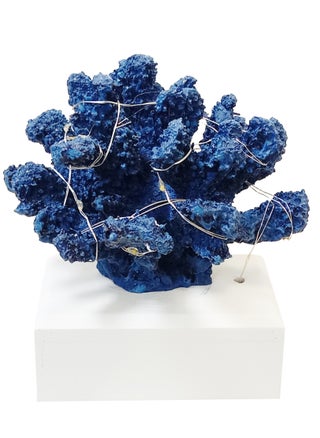 Fake Coral Figurine Tabletop Artificial With Light - pzsku/Z60784412389949665DA0Z/45/_/1721221430/a4fc895d-fa72-49ed-8462-1653ba8e5b8a
