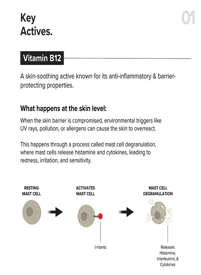 Minimalist Barrier Repair Face Moisturizer with Vitamin B12 Complex 5.5% with Ceramides for All Skin Types | Strengthens Skin Barrier, Boosts Hydration, Soothing, Lightweight Gel Texture | 10 gm - Image 5
