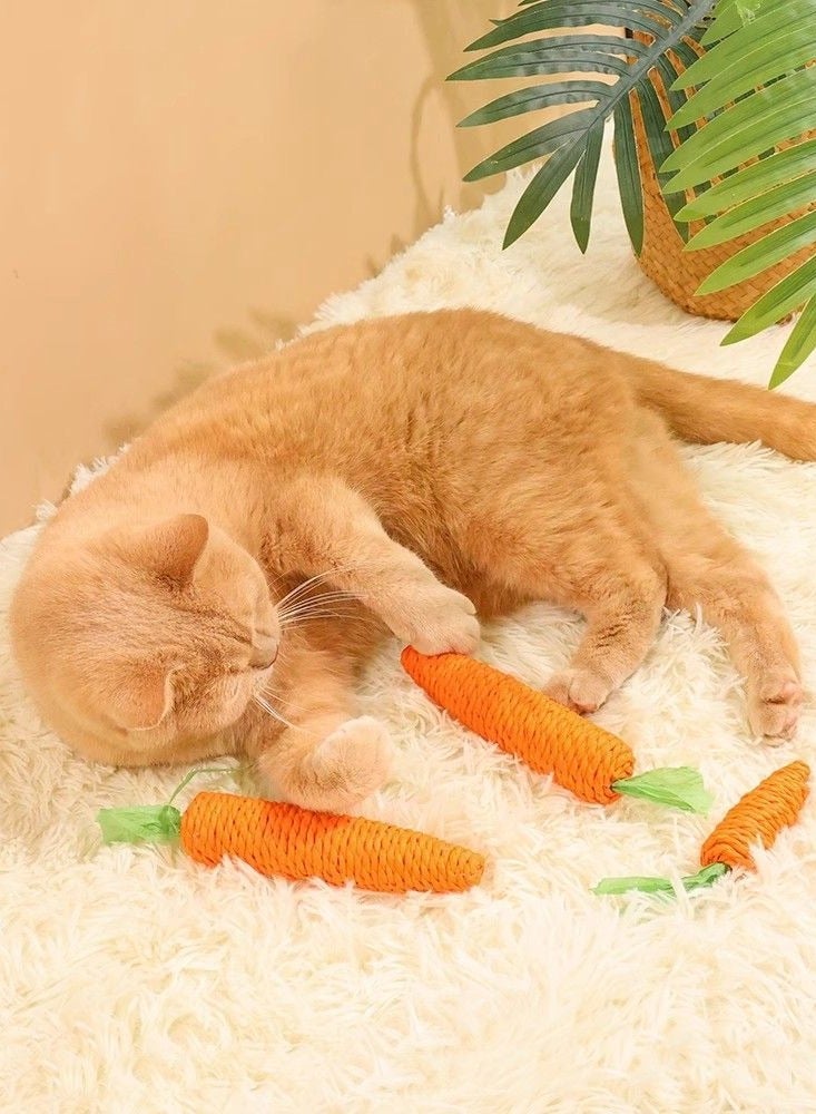 A.M Cat Toys Carrot Shaped Durable Cat Chew Toys Funny Built-in Bell Pet Teeth Cleaning Playing Game Interactive Toy Pet Supplies - Image 1