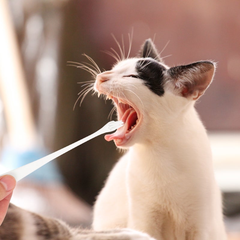 🐾 فرش أسنان للكلاب للعناية الفموية برأس فرشاة صغير وشعيرات ناعمة ٤ قطع - Image 2