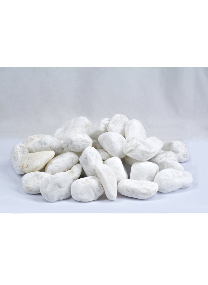 vsell24 10kg of Elegant 5-8cm White Stones – Perfect for Home & Garden Decor - Image 1