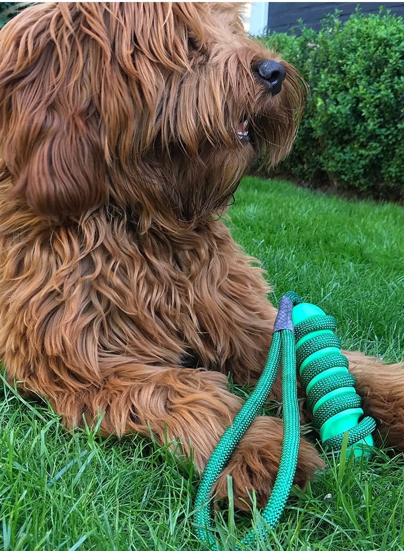 duvo Plus Swing 'N Chew Sticks Toy For Dogs 12.2 X 3.2 X 3.2cm - Green - Image 4