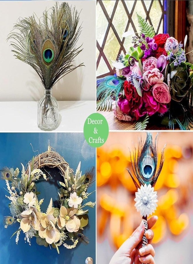 Tia Crafts ريش طاووس طبيعي حقيقي من تيا كرافتس، 10-12 سم، للأعمال الحرفية، والزهور، وديكور المنزل، عبوة من 10-12 (10) - Image 4
