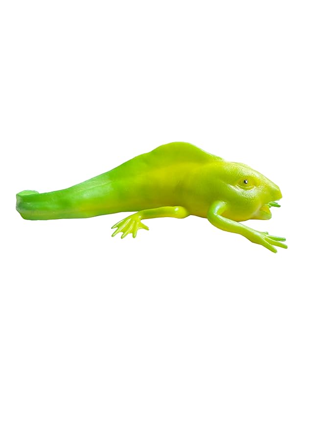 macmerise Galaxy Fun And Playful Frog Toy For Kids Green - Image 4