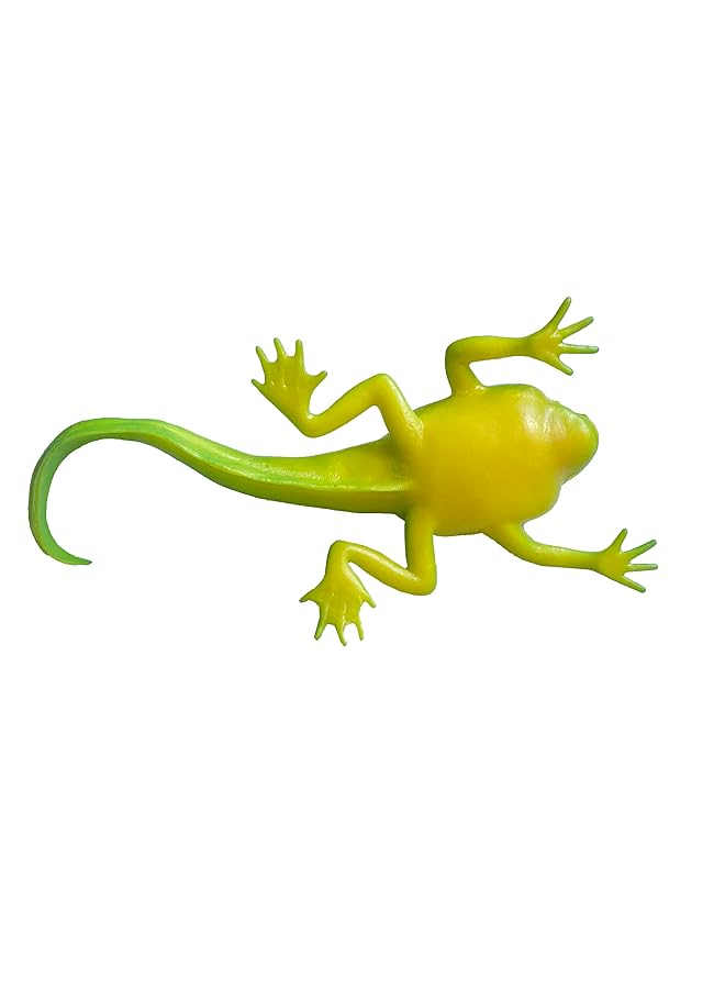macmerise Galaxy Fun And Playful Frog Toy For Kids Green - Image 3