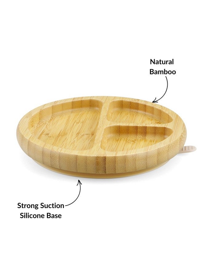 باندا إير طبق شفط من الخيزران من PandaEar، أطباق خشبية للأطفال مع ملاعق سيليكون للأطفال الصغار والأطفال، أطباق خشبية مقسمة غير قابلة للانزلاق، لوازم تغذية - Image 2