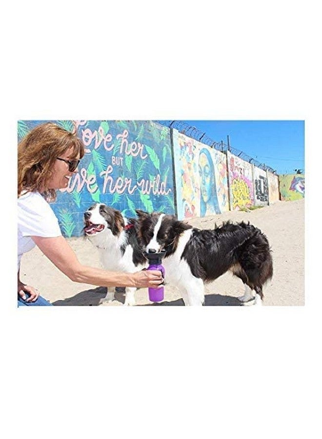 Outdoor Portable Dog Water Bottle/Drinking Cup For Pets (Color May Vary, 500 Ml) - Image 3