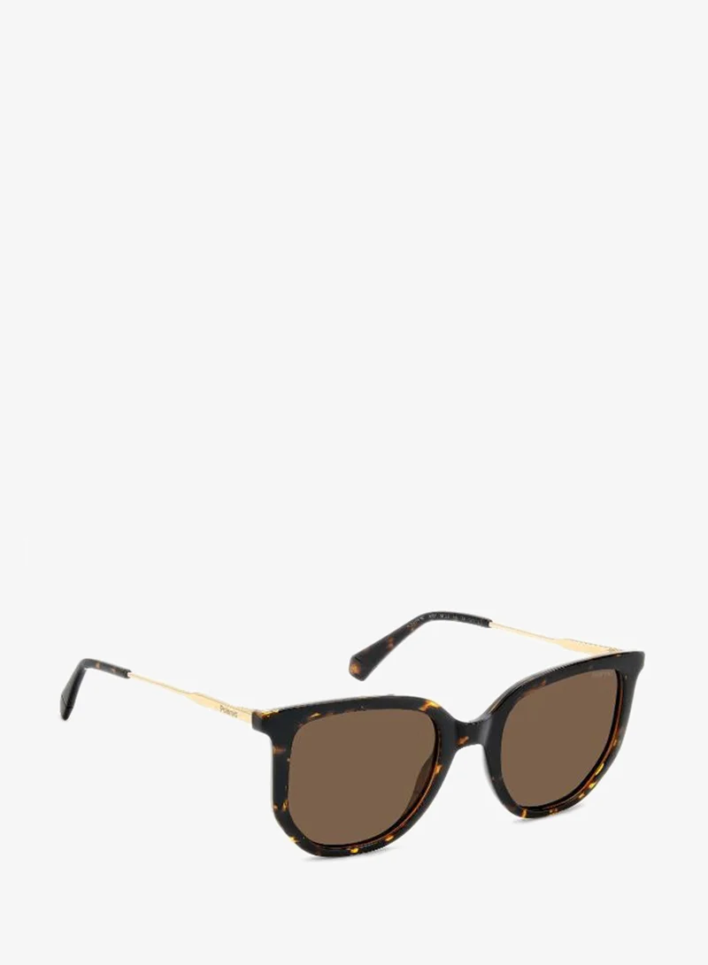 Polaroid  Wayfarers Sunglasses for Women | Best Price UAE