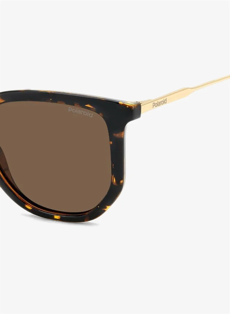 Polaroid  Wayfarers Sunglasses for Women | Best Price UAE