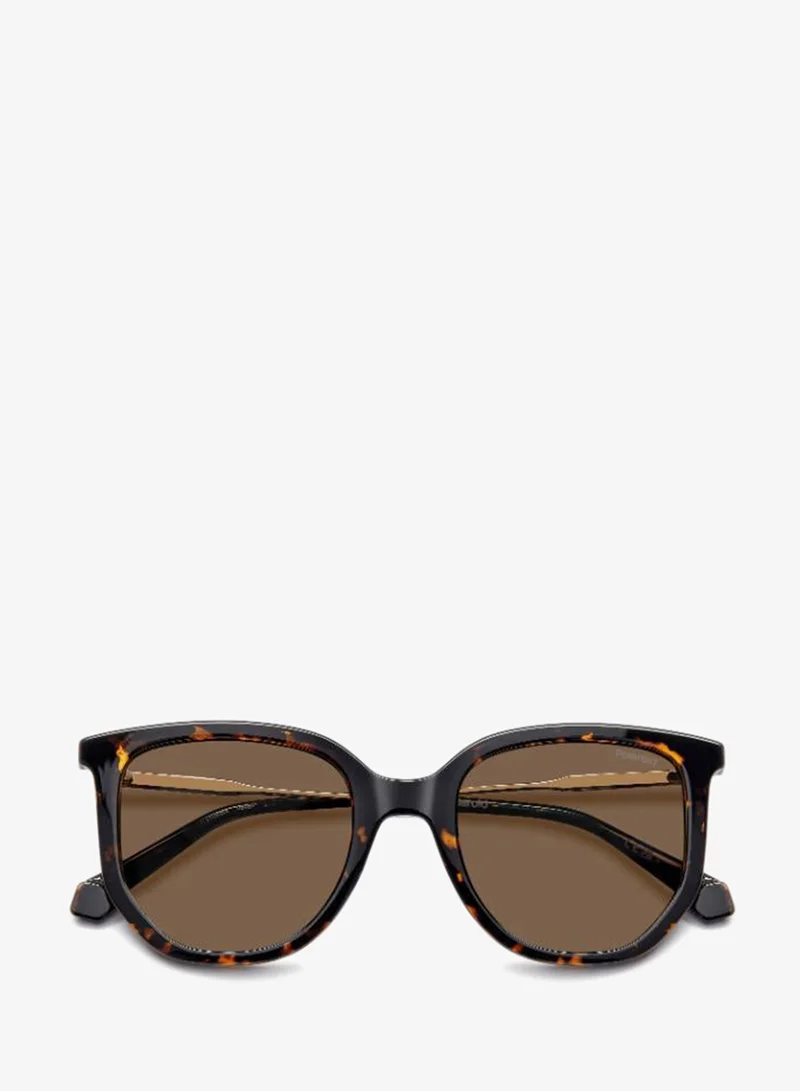 Polaroid  Wayfarers Sunglasses for Women | Best Price UAE