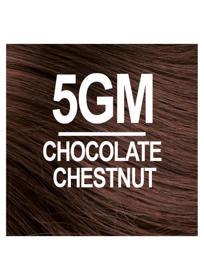 NATURTINT Permanent Hair Color 5Gm Chocolate Chestnut (Pack Of 6) Ammonia Free Vegan Cruelty Free Up To 100% Gray Coverage Long Lasting Results  - Image 3