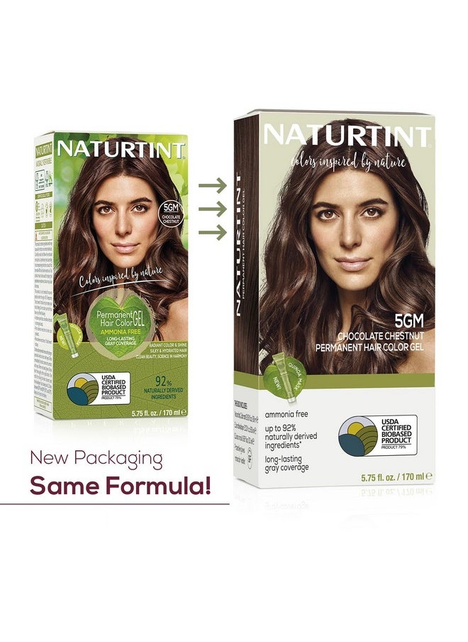NATURTINT Permanent Hair Color 5Gm Chocolate Chestnut (Pack Of 6) Ammonia Free Vegan Cruelty Free Up To 100% Gray Coverage Long Lasting Results  - Image 2