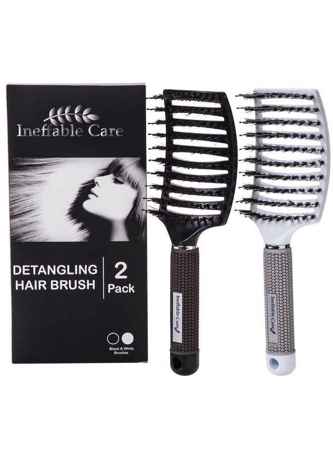 Ineffable Care - Boar Bristle Hair Brush Set - Curved And Vented For Wet And Dry Detangling Hair Brush For Women Long, Thick, Thin, Curly & Tangled Hair Vent Brush - Stocking Stuffers Gift Kit - Image 1