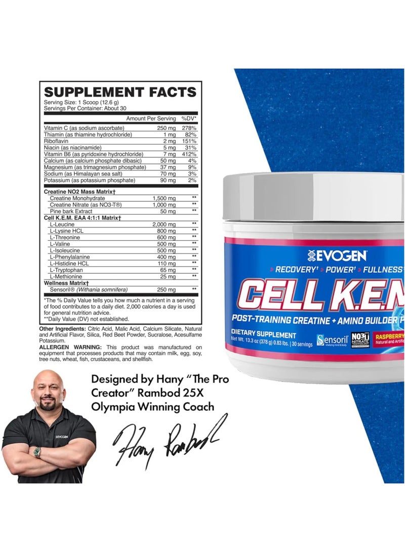 أيفوجن نيوتريشن سيل كيم بي ار  الأحماض الأمينية, ما بعد التمرين - توت وليمون - (30 حصة) - Image 2