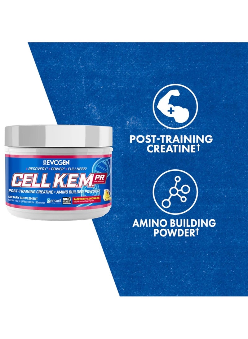 أيفوجن نيوتريشن سيل كيم بي ار  الأحماض الأمينية, ما بعد التمرين - توت وليمون - (30 حصة) - Image 3