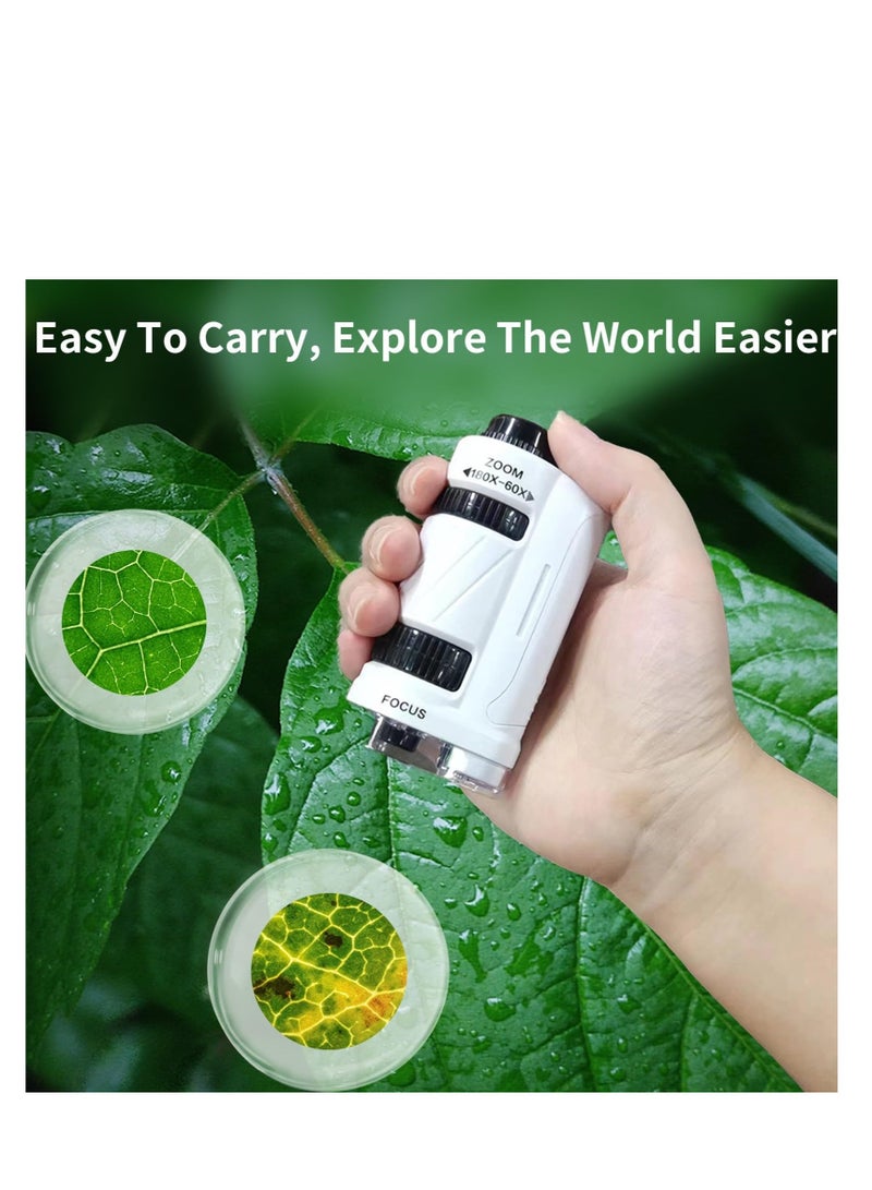 SOLARAE ميكروسكوب جيب للأطفال، 60X-180X ميكروسكوب للأطفال، ميكروسكوب محمول صغير، مجموعة STEM مع ميكروسكوب، ضوء LED مدمج، مع 12 شريحة ميكروسكوب، مجموعة ميكروسكوب علمية للأطفال من 5-12 - Image 5