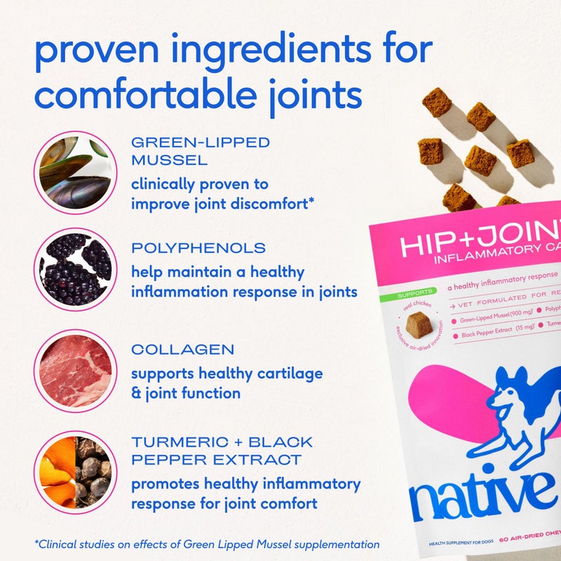 Native Pet Pain Relief for Dogs - Collagen for Dogs Promotes Joint Health, Reduce Inflammation & Stiffness - Senior Pup Joint Supplement - Natural Pain Reliever for Active & Aging Pets - 60 Chews - Image 4