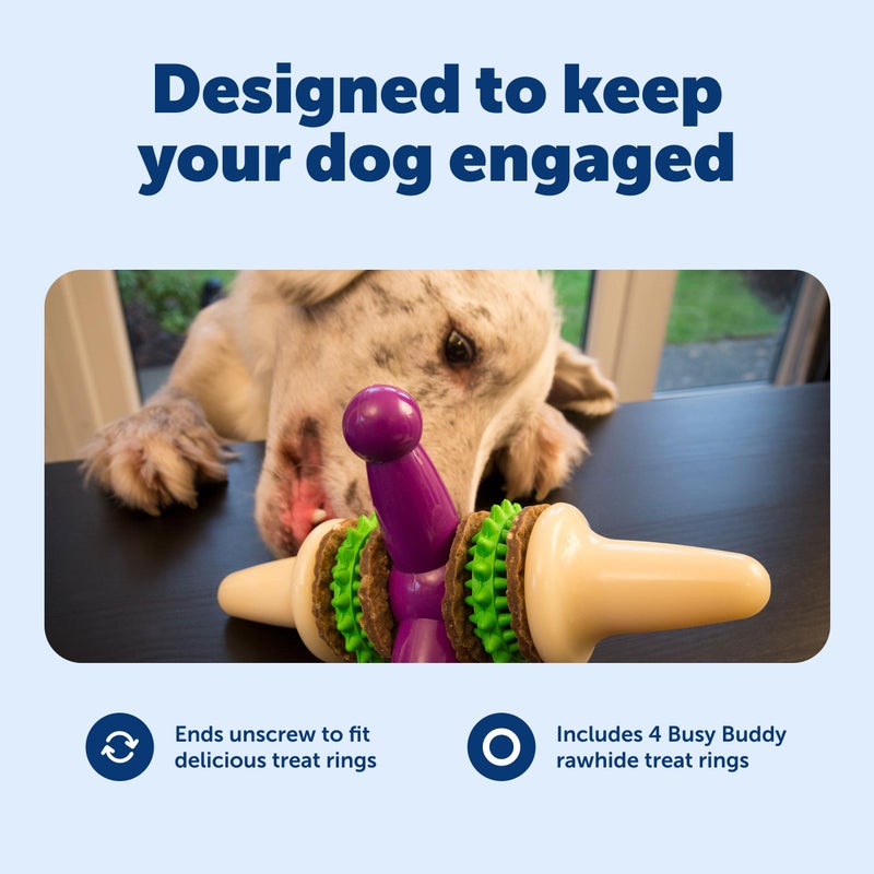 PetSafe Busy Buddy Jack - Keeps Dog Busy - Includes Treats Refill - Treat Holding Dog Toy - Helps Clean Teeth - Durable Rubber - Strong Chewers - Dishwasher Safe - Medium - Purple - Image 3
