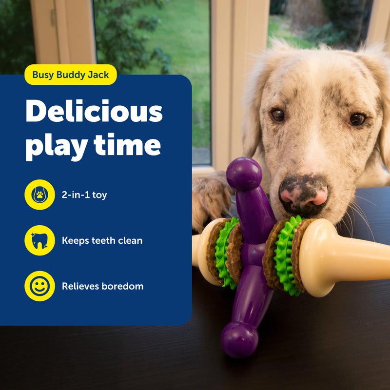 PetSafe Busy Buddy Jack - Keeps Dog Busy - Includes Treats Refill - Treat Holding Dog Toy - Helps Clean Teeth - Durable Rubber - Strong Chewers - Dishwasher Safe - Medium - Purple - Image 2