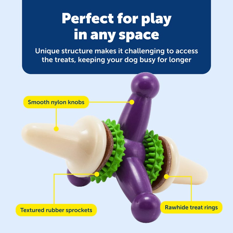 PetSafe Busy Buddy Jack - Keeps Dog Busy - Includes Treats Refill - Treat Holding Dog Toy - Helps Clean Teeth - Durable Rubber - Strong Chewers - Dishwasher Safe - Medium - Purple - Image 4