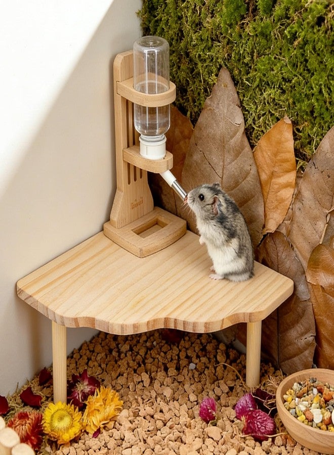 Worldity 3 Pcs Hamster Platforms, Natural Pine Hamster Play Table, Rectangular & Triangle Hamsters Wooden Playground with Platforms for Hamsters, Gerbils, Mice, Squirrel, Small Pets Cage Accessories - Image 5