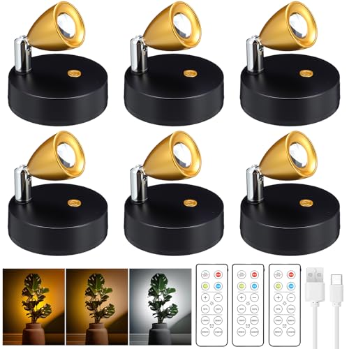 Hortsun 6 Pcs Mini Rechargeable Spotlights with 3 Remote Control Indoor Plant Wireless LED Spot Lights Rotatable Dimmable Accent Picture Lights for Wall Artwork Painting Display (Gold) - Image 1