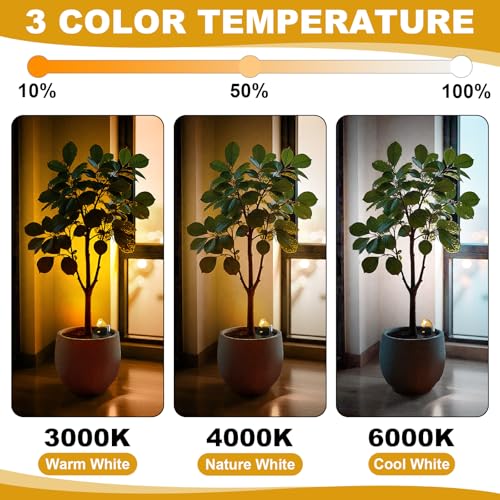 Hortsun 6 Pcs Mini Rechargeable Spotlights with 3 Remote Control Indoor Plant Wireless LED Spot Lights Rotatable Dimmable Accent Picture Lights for Wall Artwork Painting Display (Gold) - Image 3
