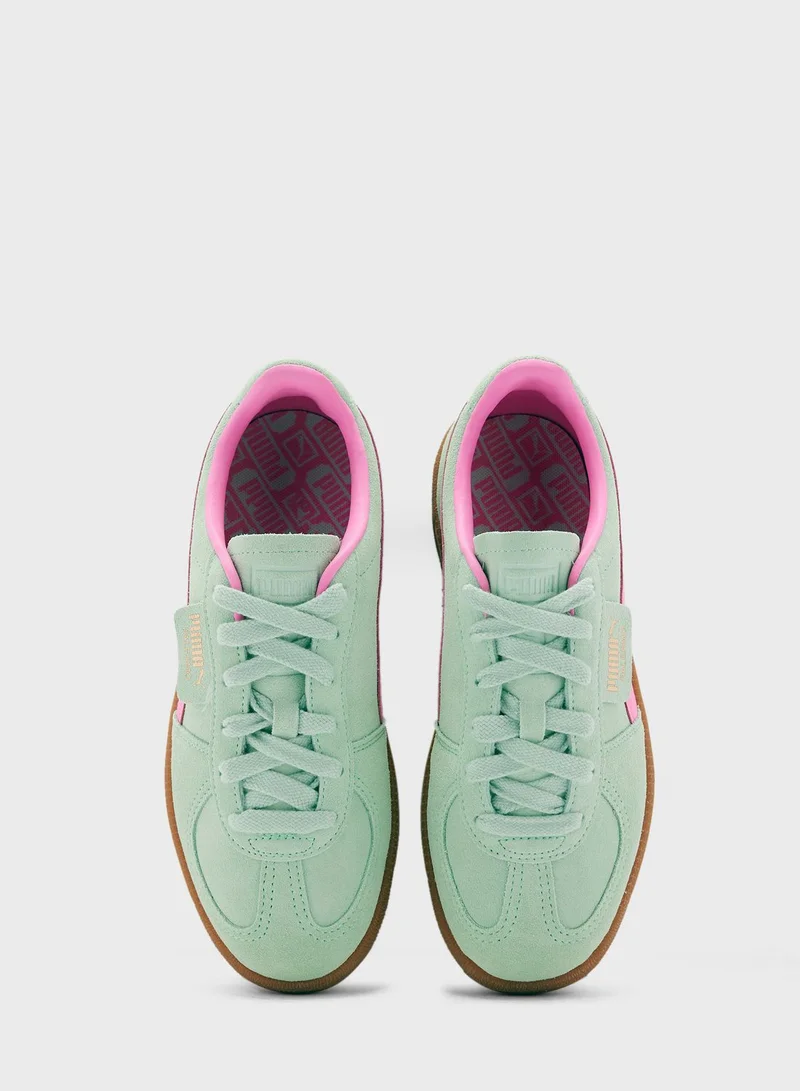 PUMA Palermo