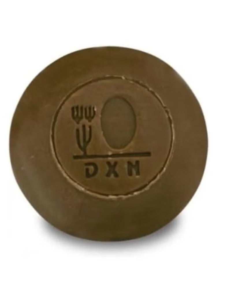 DXN Ganozhi soap 80 grams - Image 2