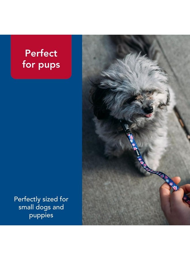 كوستال طوق كلب عاكس من كوستال بيت - لي'ل بالز - أزرق مخضر برتقالي - مقاس 3/8 بوصة × 6-8 بوصة - Image 5