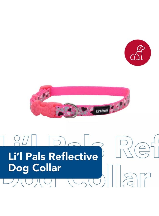 كوستال طوق كلب عاكس من كوستال بيت - لي'ل بالز - أزرق مخضر برتقالي - مقاس 3/8 بوصة × 6-8 بوصة - Image 2
