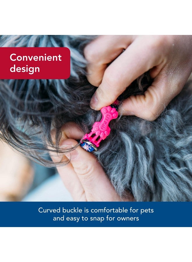 كوستال طوق كلب عاكس من كوستال بيت - لي'ل بالز - أزرق مخضر برتقالي - مقاس 3/8 بوصة × 6-8 بوصة - Image 4