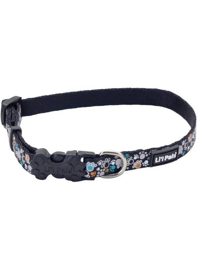 كوستال طوق كلب عاكس من كوستال بيت - لي'ل بالز - أزرق مخضر برتقالي - مقاس 3/8 بوصة × 6-8 بوصة - Image 1