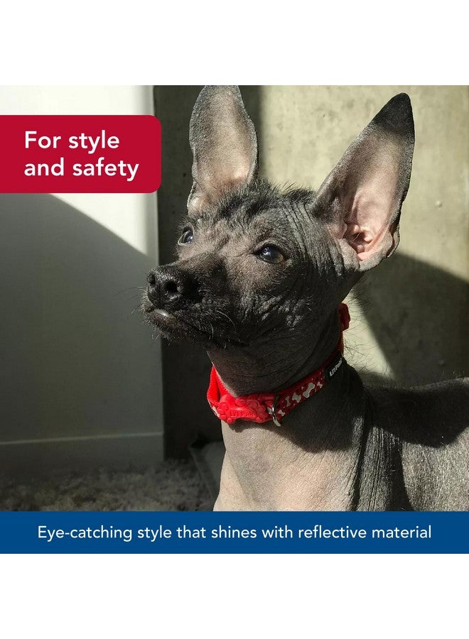 كوستال طوق كلب عاكس من كوستال بيت - لي'ل بالز - أزرق مخضر برتقالي - مقاس 3/8 بوصة × 6-8 بوصة - Image 3