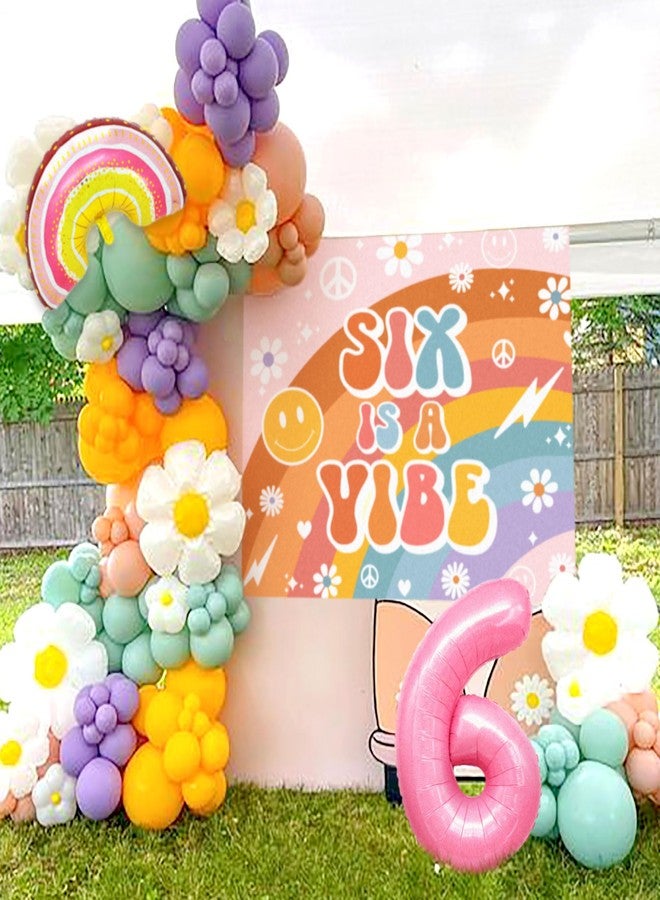 Roaring Good Time Six Is A Vibe Birthday Party Decorations Balloon Rainbow Daisy Balloons Vintage Groovy 6th Birthday Decorations Hippie Retro 6 Years Old Birthday Decoration - Image 4