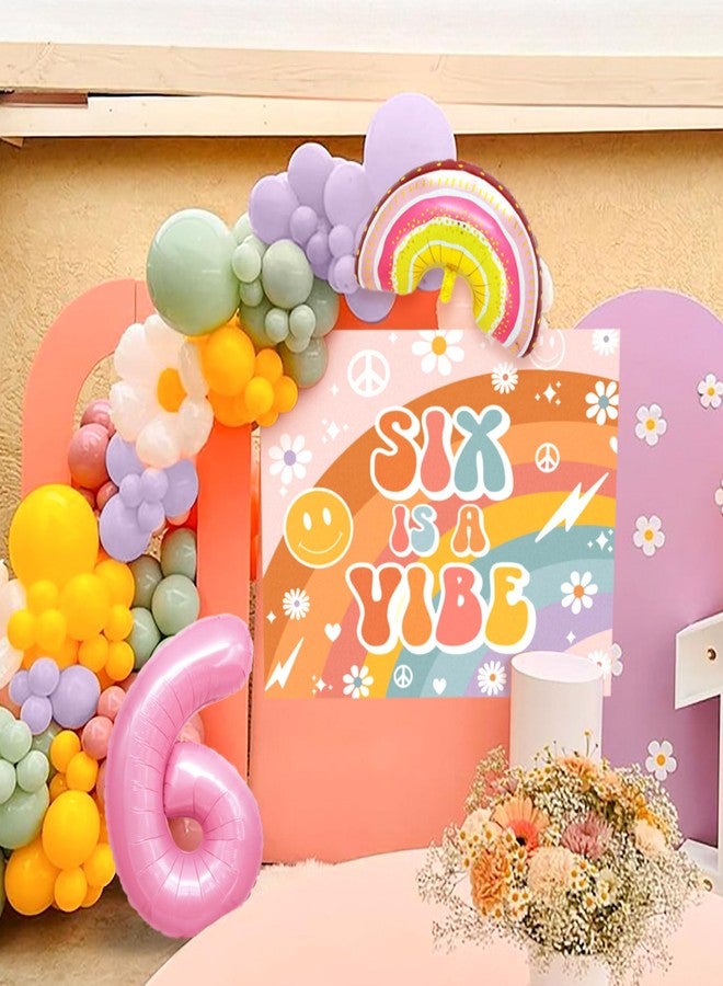 Roaring Good Time Six Is A Vibe Birthday Party Decorations Balloon Rainbow Daisy Balloons Vintage Groovy 6th Birthday Decorations Hippie Retro 6 Years Old Birthday Decoration - Image 3
