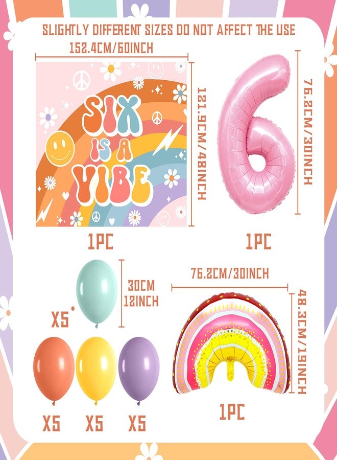 Roaring Good Time Six Is A Vibe Birthday Party Decorations Balloon Rainbow Daisy Balloons Vintage Groovy 6th Birthday Decorations Hippie Retro 6 Years Old Birthday Decoration - Image 2