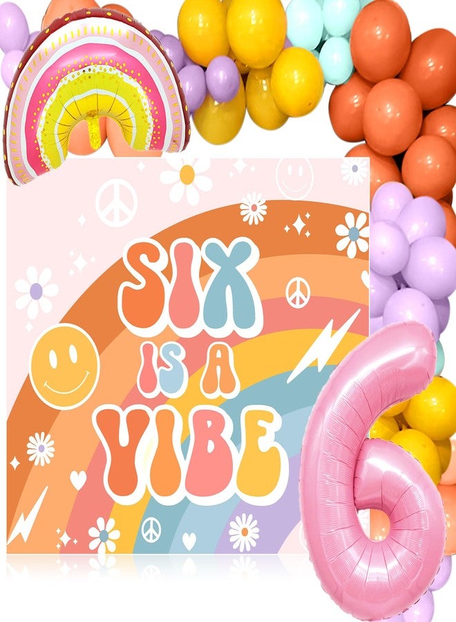 Roaring Good Time Six Is A Vibe Birthday Party Decorations Balloon Rainbow Daisy Balloons Vintage Groovy 6th Birthday Decorations Hippie Retro 6 Years Old Birthday Decoration - Image 1