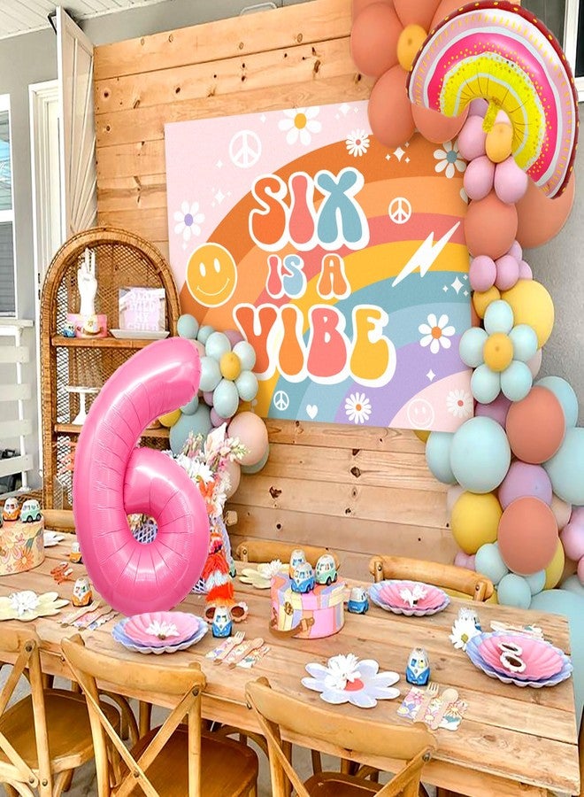 Roaring Good Time Six Is A Vibe Birthday Party Decorations Balloon Rainbow Daisy Balloons Vintage Groovy 6th Birthday Decorations Hippie Retro 6 Years Old Birthday Decoration - Image 5