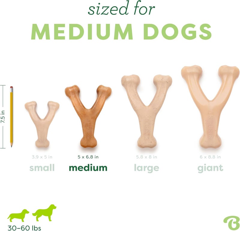 Benebone - Wishbone Chicken - M - 18cm - (854111004040) /Dogs /18 cm - Image 4