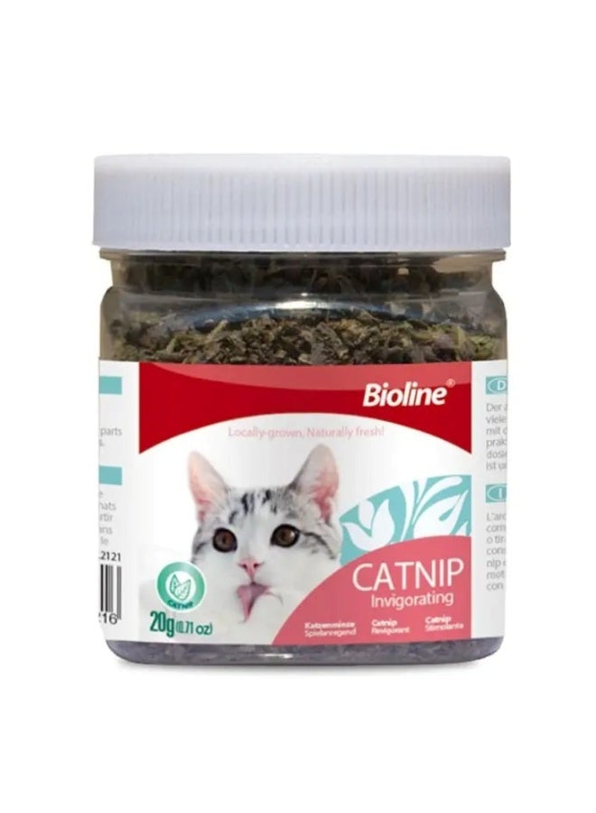 Bioline Catnip Leaves 230 ml[Weight - 20g] - Image 1