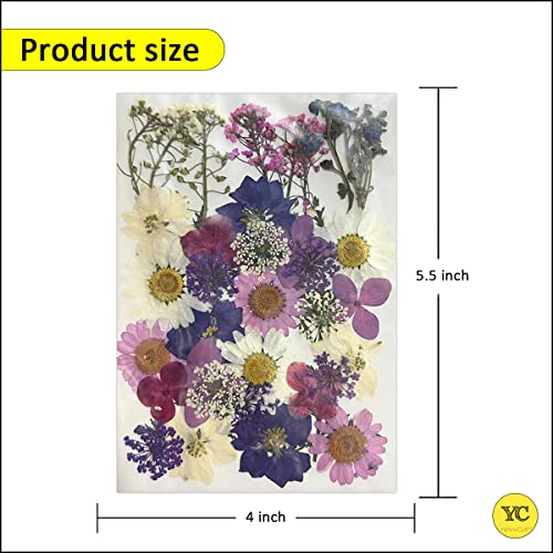 YellowCult Natural Real Dried & Pressed Flowers for Art Craft - Mixed, Multicolor for Soap, Candle, Scrapbooking, DIY, Resin Jewelry, Pendant - [Luxury White & Purple 40-45 pcs] - Image 2